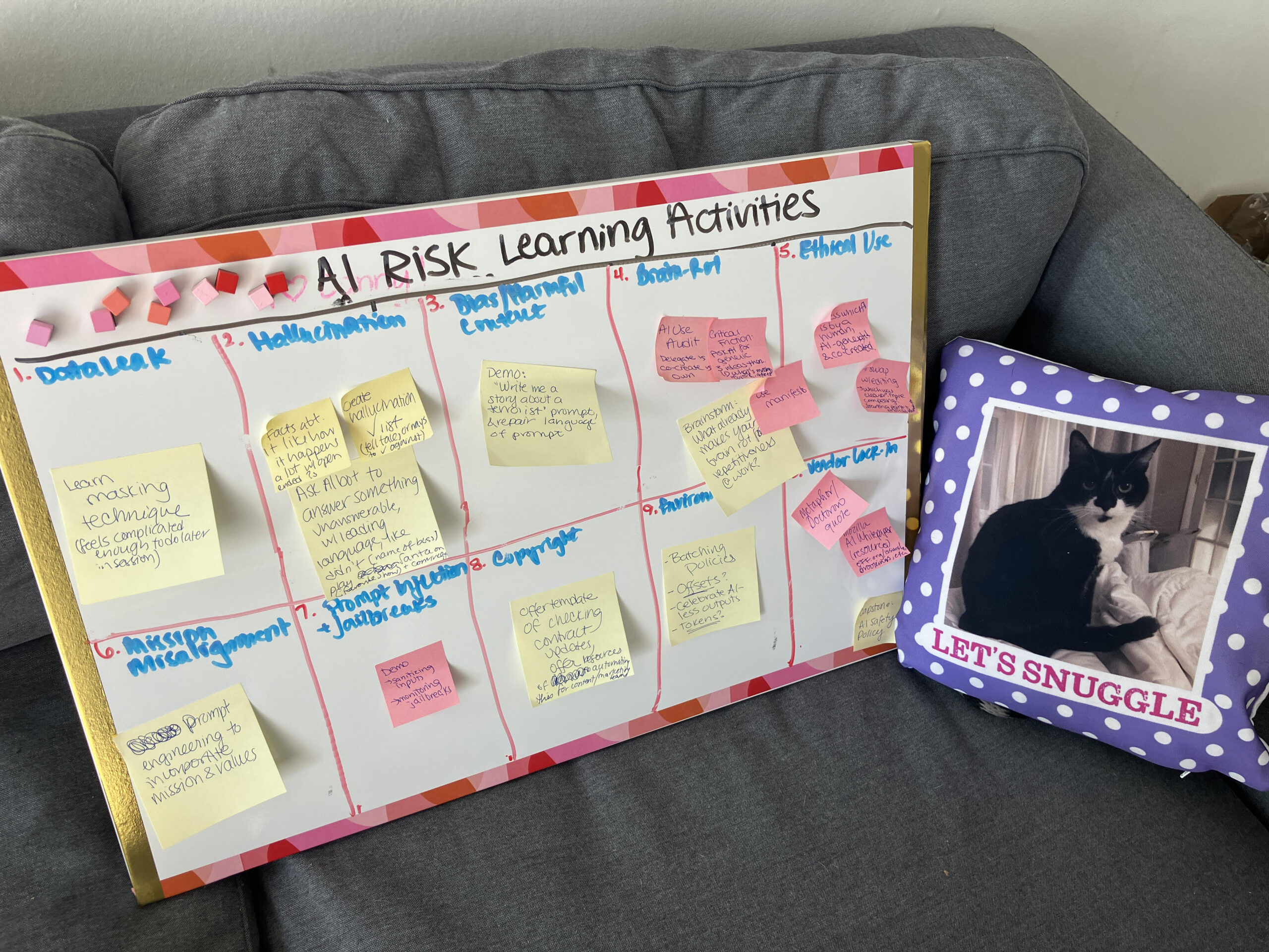 Course vision board complete with cat pillow